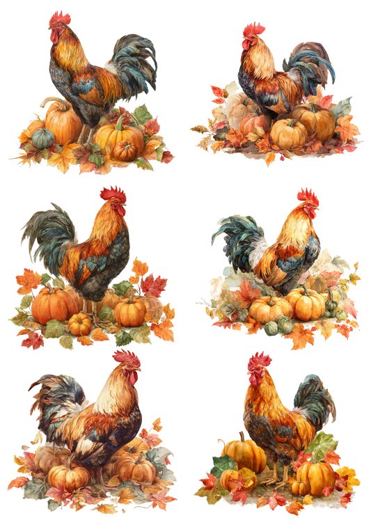 Sticker Sheet – Rooster On Pumpkins Collage Cat. No. 5037