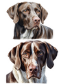 Wall Art Poster / Greeting Card / Sticker Sheet – Shorthaired Pointer Collage Cat. No. 5083