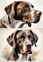 Wall Art Poster / Greeting Card / Sticker Sheet – Shorthaired Pointer Collage Cat. No. 5084