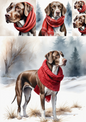 Wall Art Poster / Greeting Card / Sticker Sheet – Shorthaired Pointer Collage Cat. No. 5086