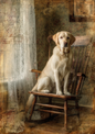 Wall Art Poster / Greeting Card / Sticker Sheet – Labrador On A Rocking Chair Full Cat. No. 5164
