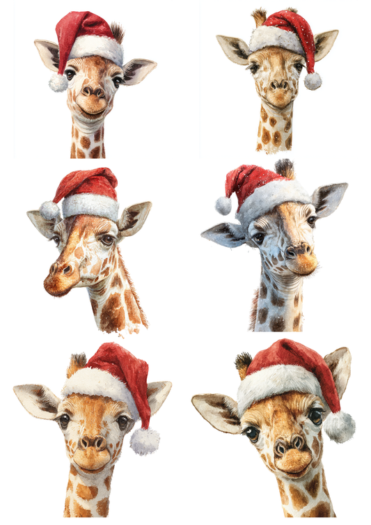 Sticker Sheet / Greeting Card – Giraffe in a Christmas Hat Collage Cat. No. 5205
