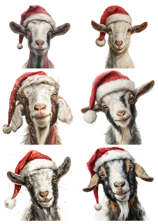Sticker Sheet / Greeting Card – Goat In Christmas Hat Collage Cat. No. 5213