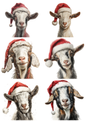 Wall Art Poster / Greeting Card / Sticker Sheet – Goat In Christmas Hat Collage Cat. No. 5213
