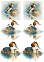 Wall Art Poster / Greeting Card / Sticker Sheet – Grebe With Chick Collage Cat. No. 5223