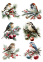 Sticker Sheet / Greeting Card – Birds With Christmas Tree Bauble Collage Cat. No. 5363