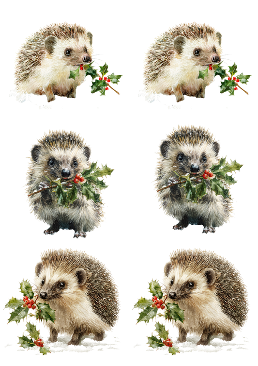 Sticker Sheet / Greeting Card – Hedgehog With Rowan Branch Collage Cat. No. 5480