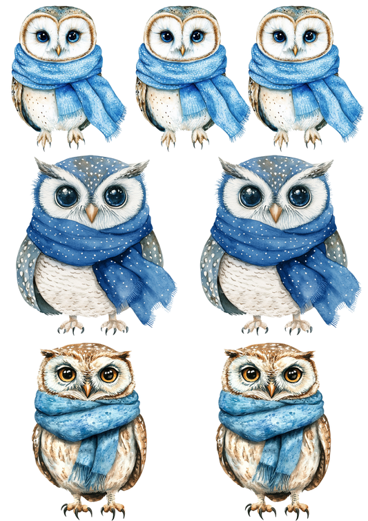Sticker Sheet / Greeting Card – Owl in a Scarf Collage Cat. No. 5564
