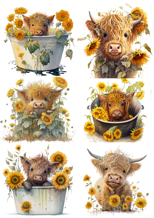 Sticker Sheet / Greeting Card – Young Highland Cow Collage Cat. No. 5582