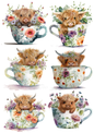 Sticker Sheet / Greeting Card – Young Highland Cow In A Cup Collage Cat. No. 5588