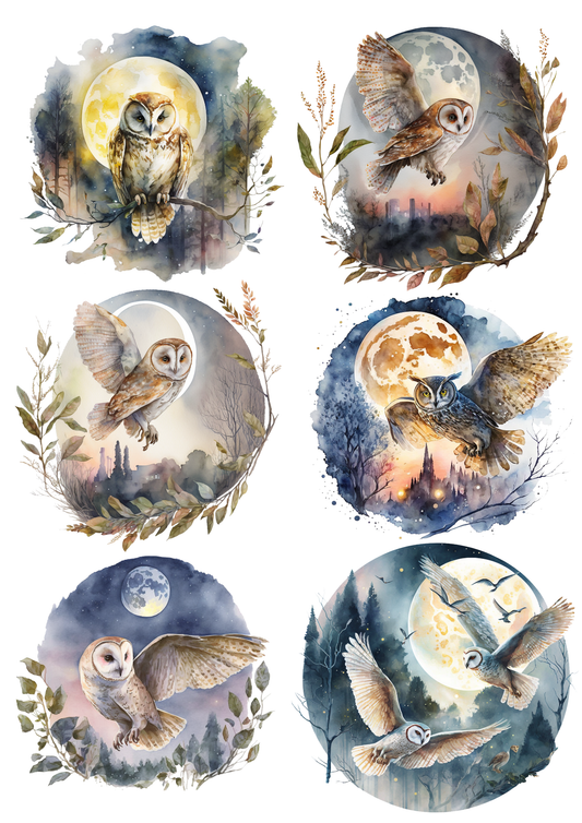 Sticker Sheet / Greeting Card – Owls In Circles Collage Cat. No. 5600