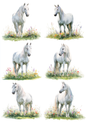 Sticker Sheet / Greeting Card – White Horse in the Meadow Collage Cat. No. 5655