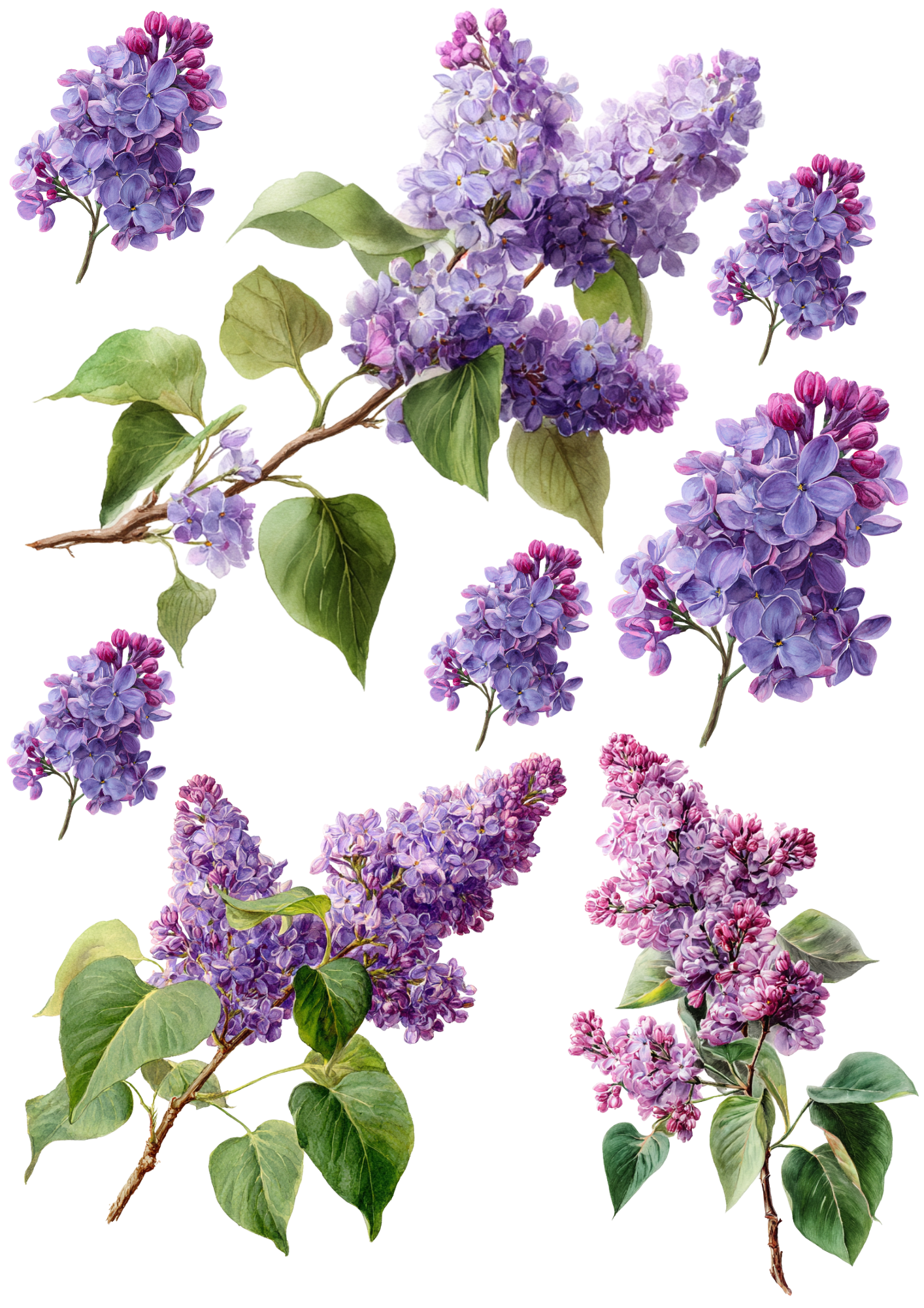 Sticker Sheet / Greeting Card – Lilac Branches Collage Cat. No. 5657