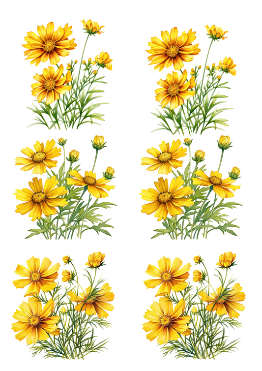 Sticker Sheet / Greeting Card – Marigolds Collage Cat. No. 5748