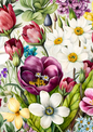 Sticker Sheet / Greeting Card – Floral Journaling Background Full Cat. No. 5769