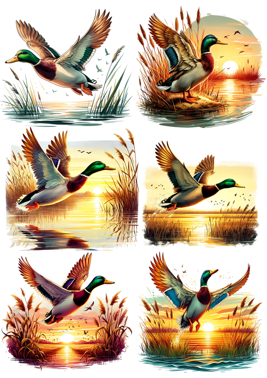 Sticker Sheet / Greeting Card – Duck Collage Cat. No. 5785