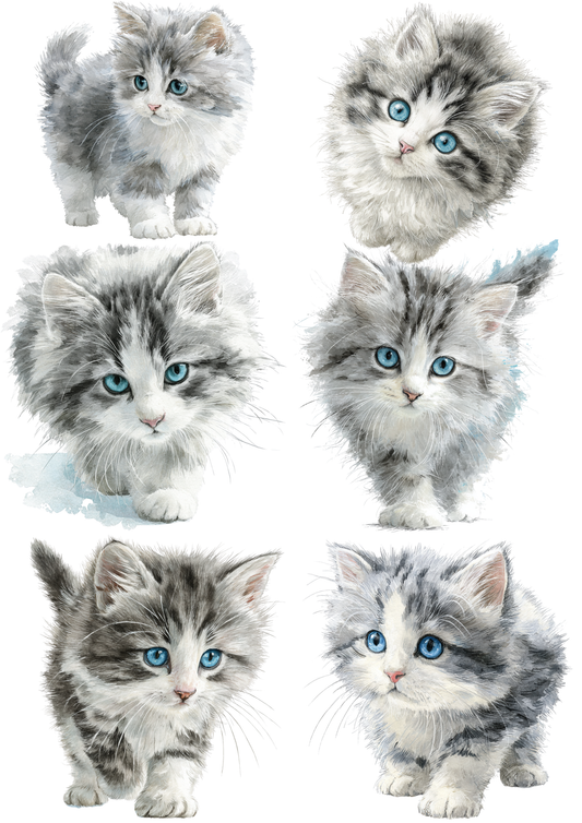 Sticker Sheet / Greeting Card – Little Kitten Collage Cat. No. 8332