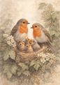 Sticker Sheet / Greeting Card – Red Robin Family In A Nest Full Cat. No. 8412
