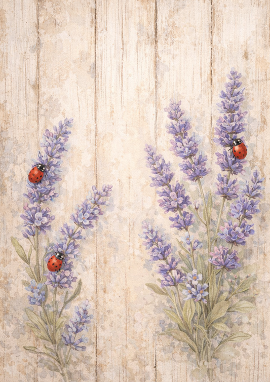 Sticker Sheet / Greeting Card – Floral Journaling Background Full Cat. No. 8417