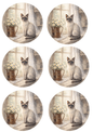 Sticker Sheet / Greeting Card – Cat On The Windowsill Collage Cat. No. 8449