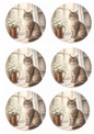 Sticker Sheet / Greeting Card – Cat On The Windowsill Collage Cat. No. 8450