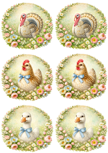 Sticker Sheet / Greeting Card – Poultry Various Collage Cat. No. 8517