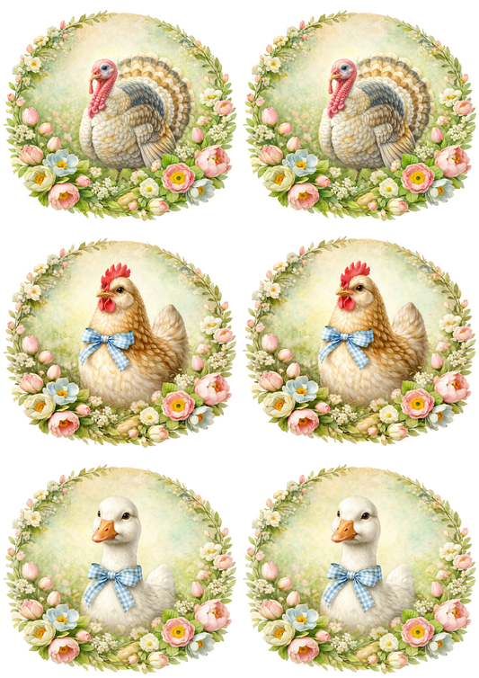 Sticker Sheet / Greeting Card – Poultry Various Collage Cat. No. 8517