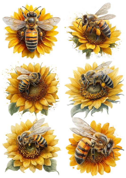 Sticker Sheet / Greeting Card – Bee on Sunflower Collage Cat. No. 8531