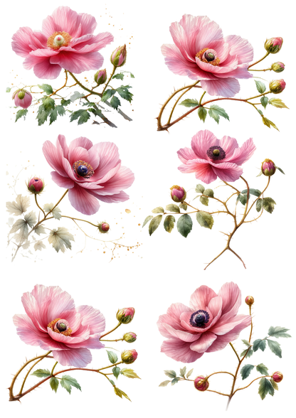 Sticker Sheet / Greeting Card – Anemones Collage Cat. No. 8546