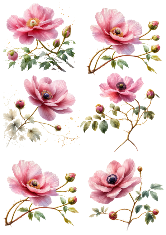 Sticker Sheet / Greeting Card – Anemones Collage Cat. No. 8546