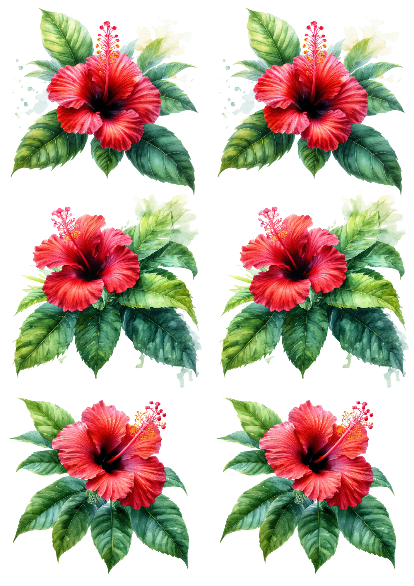 Sticker Sheet / Greeting Card – Hibiscus Collage Cat. No. 8549