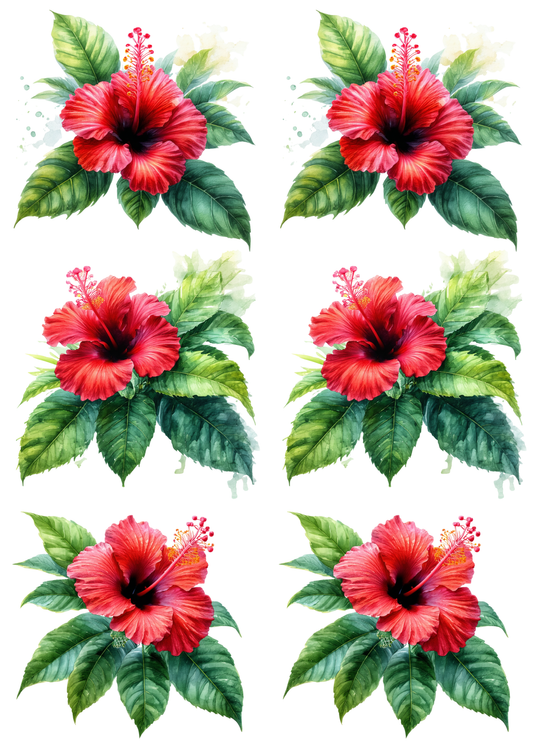 Sticker Sheet / Greeting Card – Hibiscus Collage Cat. No. 8549