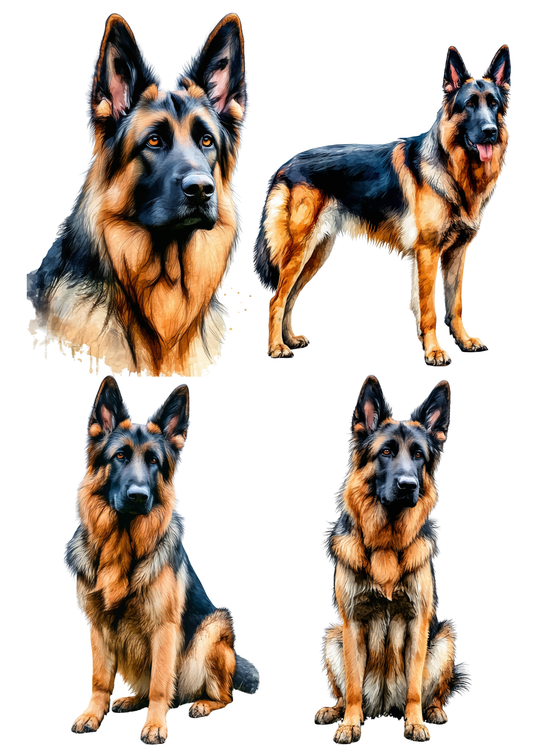 Sticker Sheet / Greeting Card – Belgian Shepherd Collage Cat. No. 8627