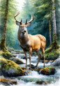 Sticker Sheet / Greeting Card – Majestic Deer in the Forest Full Cat. No. 8717