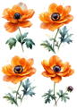 Sticker Sheet / Greeting Card – Watercolor Orange Anemone Collage Cat. No. 8741