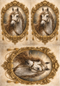 Sticker Sheet / Greeting Card – Beautiful Horse in the Frame Collage Cat. No. 8912