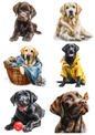 Sticker Sheet / Greeting Card – Labrador Retriever Collage Cat. No. 9448