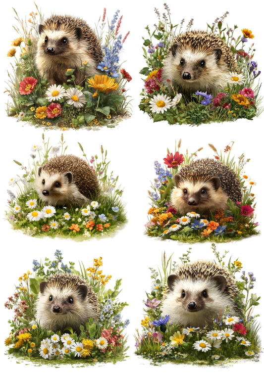 Sticker Sheet / Greeting Card – Hedgehog in Meadow Collage Cat. No. 9464
