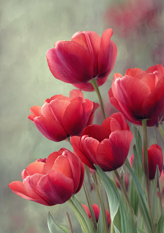 Sticker Sheet / Greeting Card – Pastel Red Tulips Full Cat. No. 9530