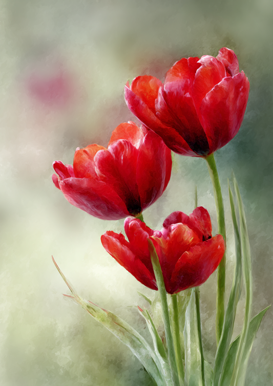 Sticker Sheet / Greeting Card – Spring Red Tulips Full Cat. No. 9533