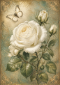 Sticker Sheet / Greeting Card – White Rose & Butterfly Full Cat. No. 9558
