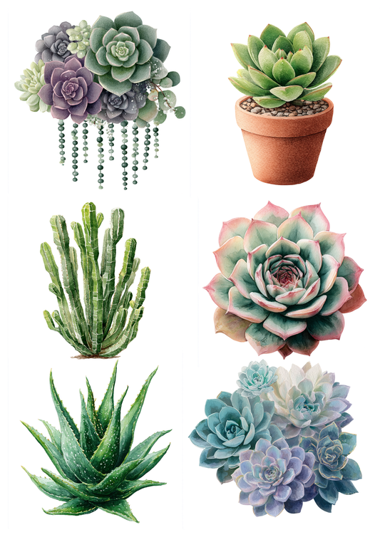 Sticker Sheet / Greeting Card – Botanical Succulents Collage Cat. No. 9611
