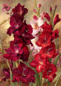 Sticker Sheet / Greeting Card – Bouquet of Gladioli Flowers Full Cat. No. 9645