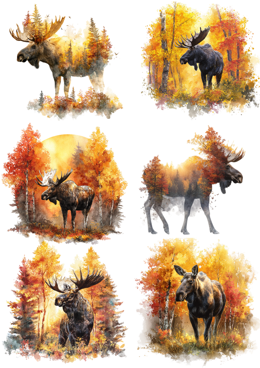 Sticker Sheet / Greeting Card – Moose in Autumn Forest Collage Cat. No. 9756