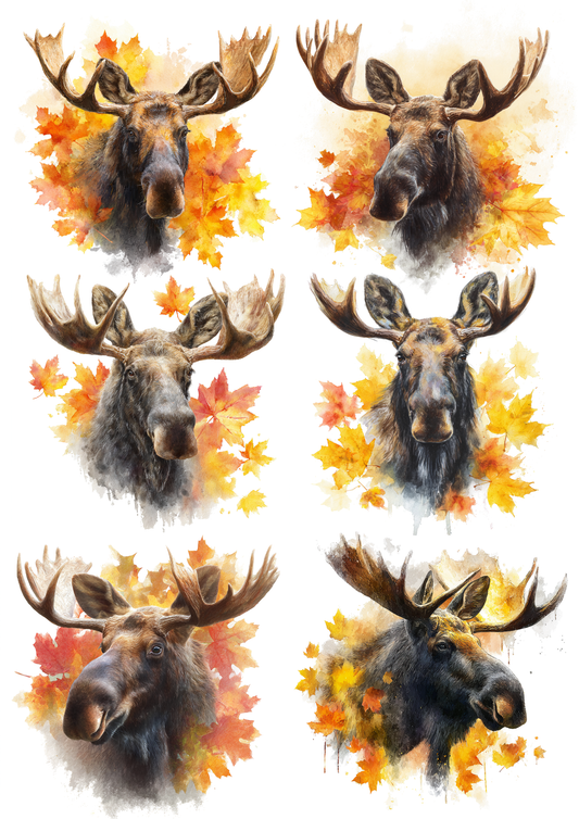 Sticker Sheet / Greeting Card – Moose in Autumn Forest Portrait Collage Cat. No. 9758