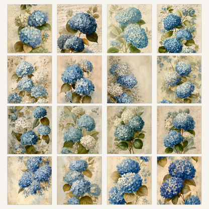 French Blue Hydrangeas Printable Design Sheets – 16 A4 Digital Pages for Crafts (Instant Download)