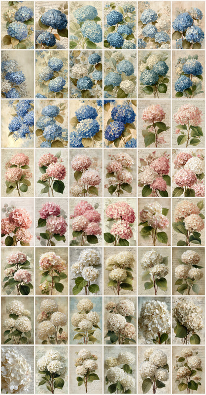 Hydrangea Printables & Clipart Bundle – 84 Digital Files, 48 A4 Sheets + 36 Cliparts for Crafts (Instant Download)