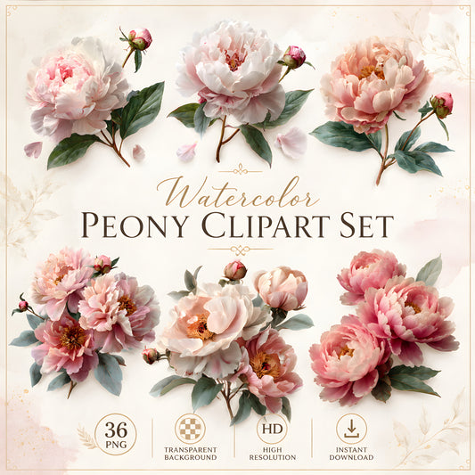 Watercolor Blush Pink Peonies Clipart Set: 36 PNG, Transparent Background Clipart(Instant Download)