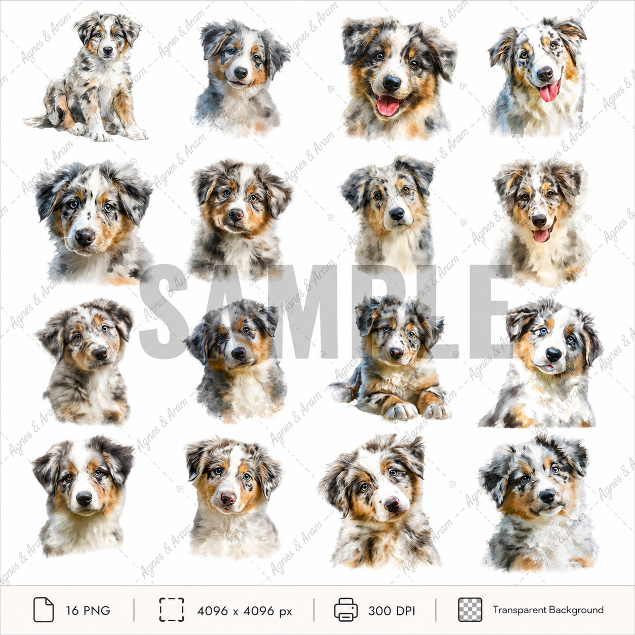 Australian Sheppard Dog Clipart Set: 16 PNG, Transparent Background Clipart(Instant Download)