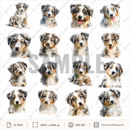 Australian Sheppard Dog Clipart Set: 16 PNG, Transparent Background Clipart(Instant Download)